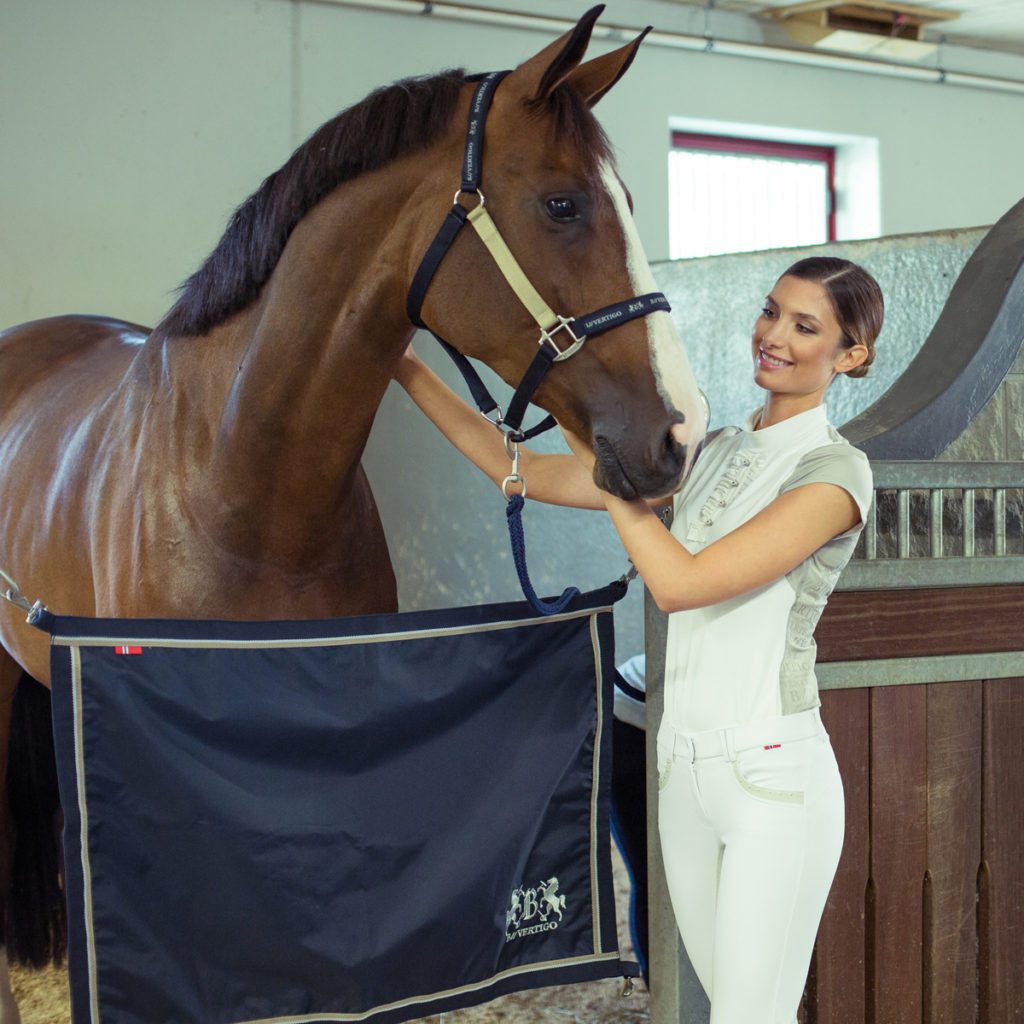 StableGuard
