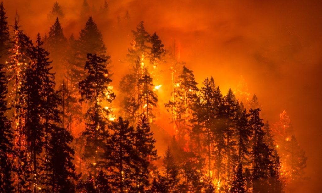 Wildfires