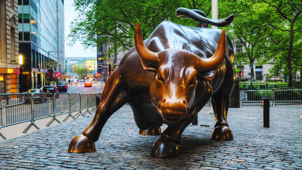 Bull