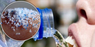 microplastics-bottled-water