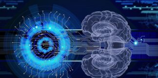 Brain and AI